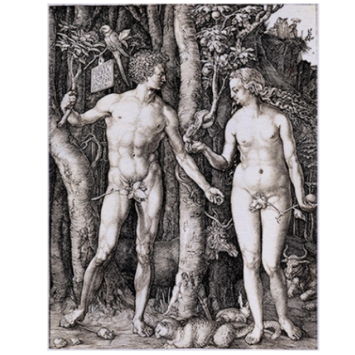 grafika na koszulce, Durer, Adam i Ewa